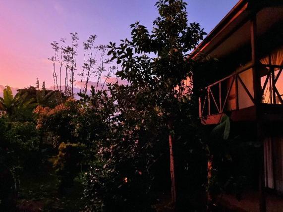 Marari Rapa Nui Hanga Roa Exterior foto
